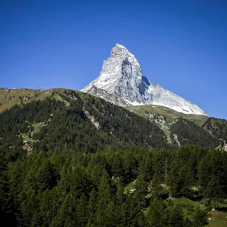 伽利略公寓 公寓 *